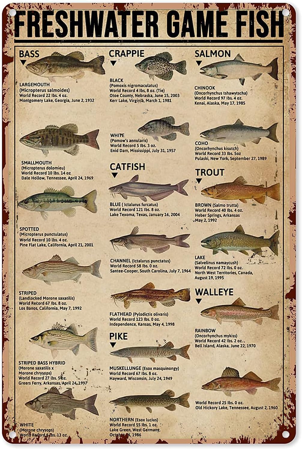 Home Decor Games - Y1,Fishing Art Posters Metal Sign Freshwater